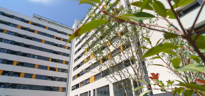 Последње припреме пред усељење III фазе